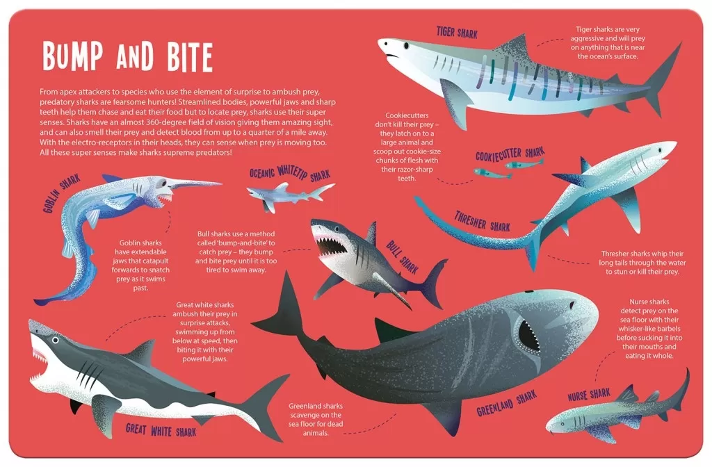 Sharks spread